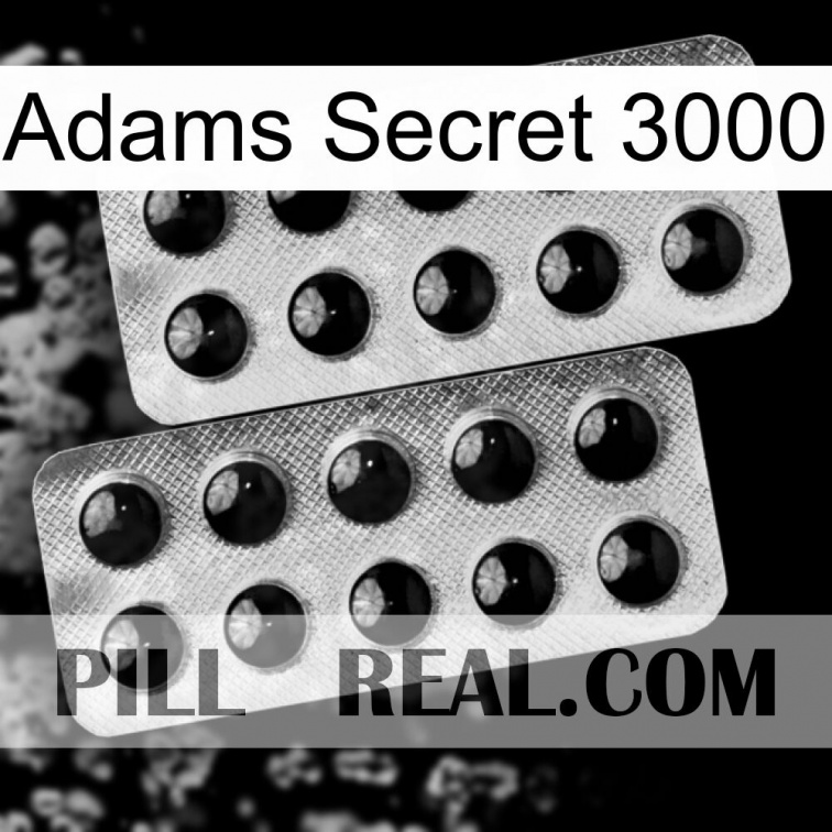 Adams Secret 3000 dapoxetine2